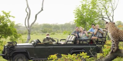 A group of tourists on safari taking a photo of a leopard.